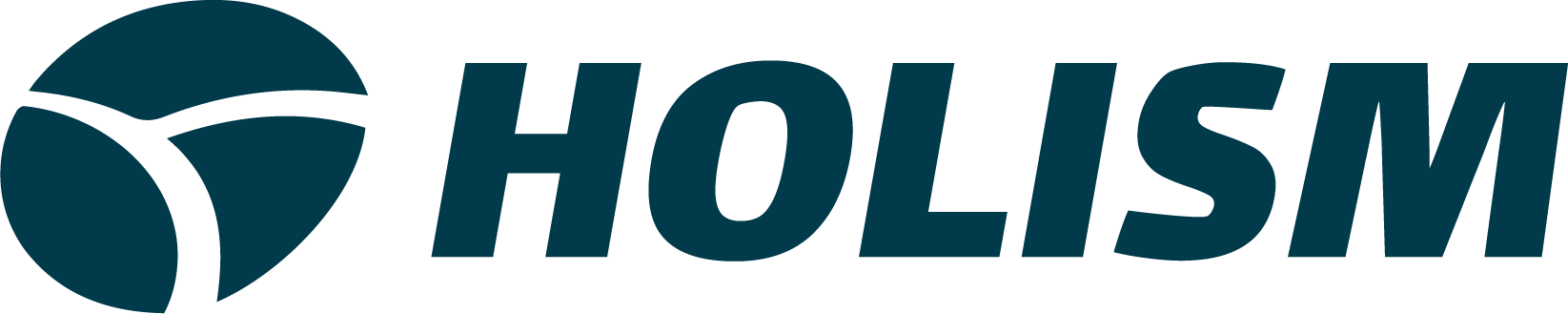 HOLISM