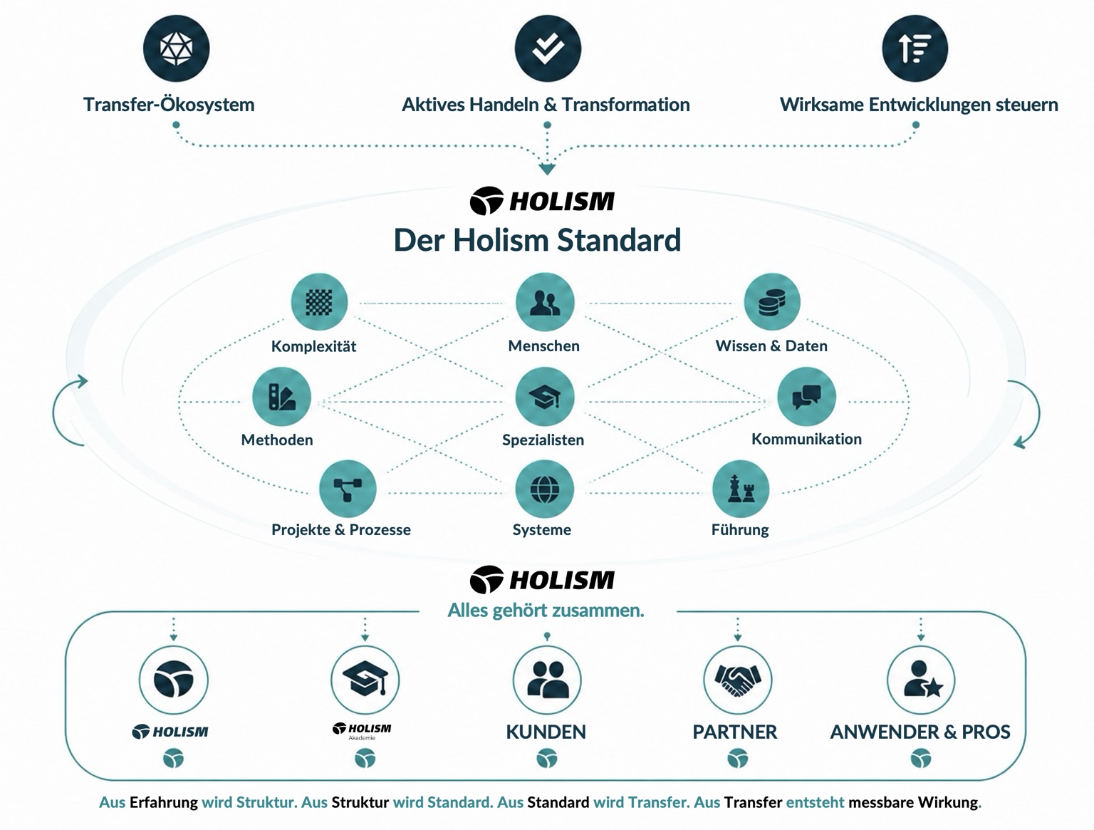 Schaubild des Holism Standards als Transfer-Ökosystem mit drei Wirkprinzipien und neun Handlungsfeldern