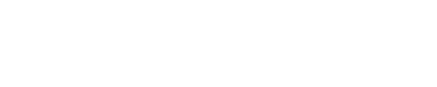HOLISM